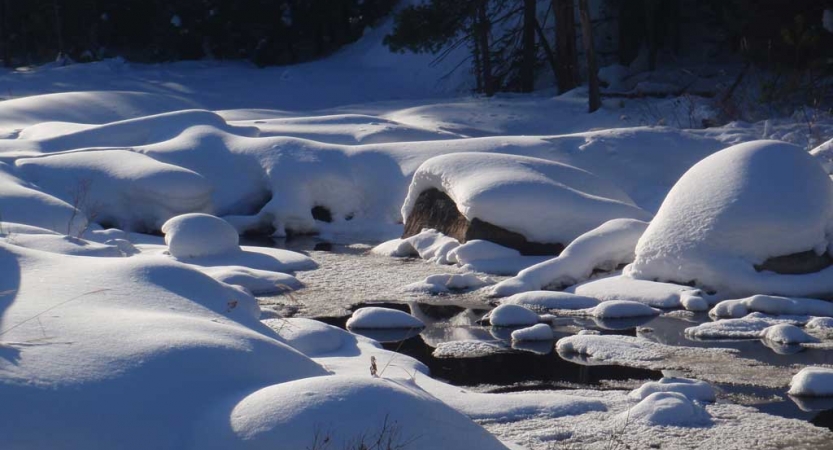 Snow piles up around an icy creek